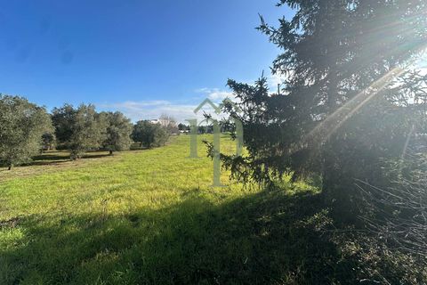 Masia a Ostuni, Brindisi, Ostuni - € 75.000 | Ref: Casolare Vert - foto 5